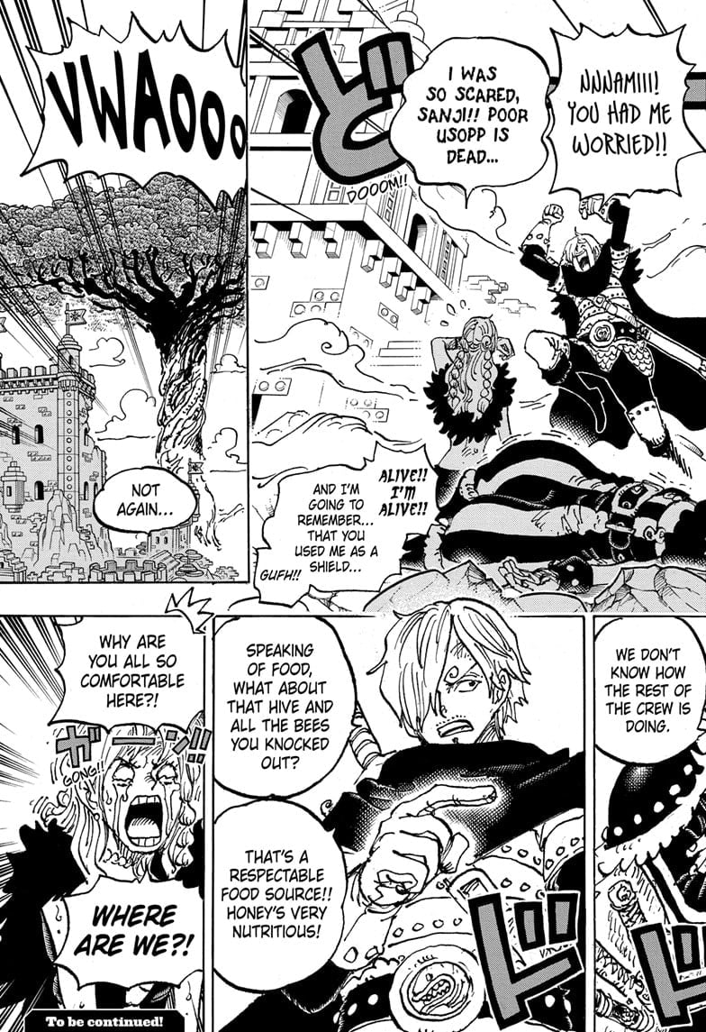 One Piece, Chapter 1127 image 15